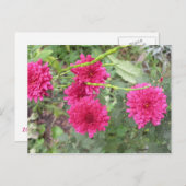 hete roze bloemen briefkaart (Voorkant / Achterkant)