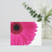 Hete Roze Gerbera Briefkaart (Staand voorkant)
