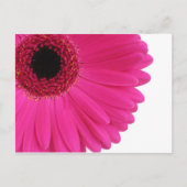 Hete Roze Gerbera Briefkaart (Voorkant)