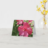 Hete roze hibiscus, sympathie kaart (Gele Bloem)