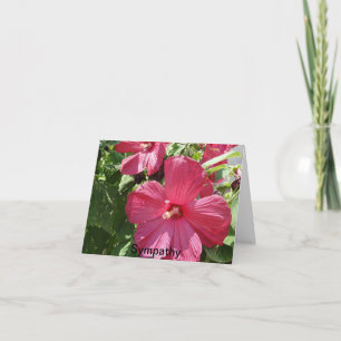 Hete roze hibiscus, sympathie kaart