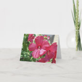 Hete roze hibiscus, sympathie kaart (Achterkant)