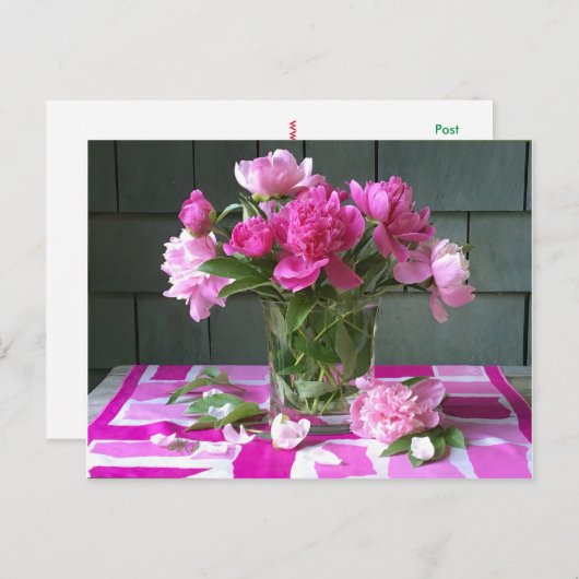 Hete roze pioenrozen op hete roze zijden sjaal feestdagenkaart (Voorkant / Achterkant)