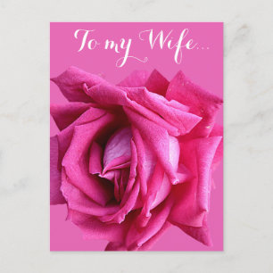 hete roze roos bloemen Happy Birthday kaart