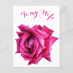  hete roze roos bloemen Happy Valentijn liefde Briefkaart