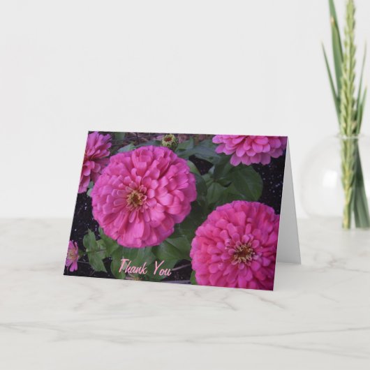 Hete Roze Zinnia Thank u Bedankkaart (Voorkant)