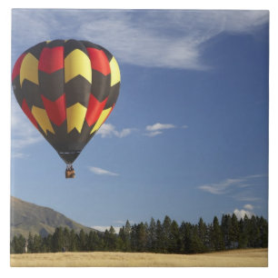 Heteluchtballon bij Wanaka, Zuidereiland, Nieuw Tegeltje
