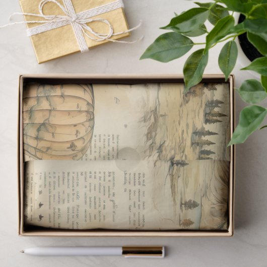  heteluchtballon in een sereen landschap (10) tissuepapier (Geschenk)