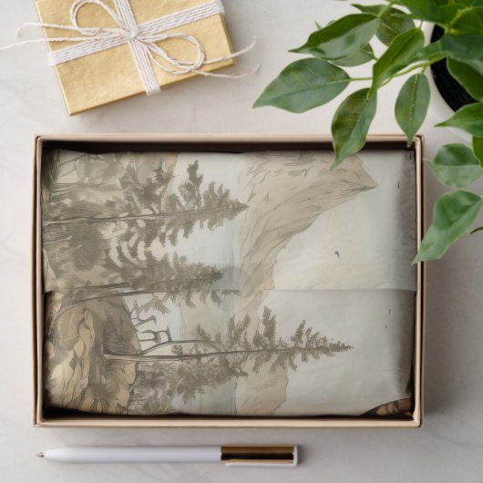  heteluchtballon in een sereen landschap (7) tissuepapier (Geschenk)