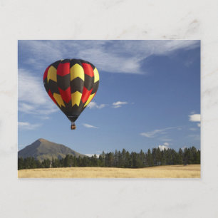 Heteluchtballon nabij Wanaka, Zuidereiland, Nieuw Briefkaart