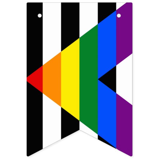 hetero bondgenoot vlag bunting banner lgbt partij (Tweede vlag)