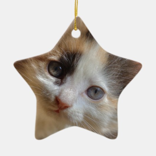 Heterochromia Calico Kitten Keramisch Ornament (Voorkant)