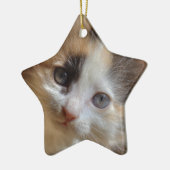 Heterochromia Calico Kitten Keramisch Ornament (Links)