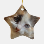 Heterochromia Calico Kitten Keramisch Ornament (Achterkant)