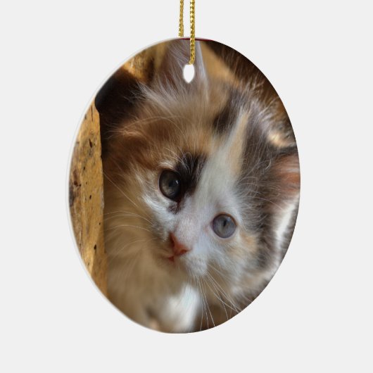 Heterochromia Calico Kitten Keramisch Ornament (Rechts)