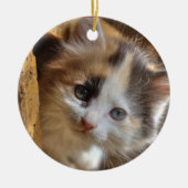 Heterochromia Calico Kitten Keramisch Ornament (Voorkant)