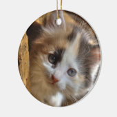 Heterochromia Calico Kitten Keramisch Ornament (Links)