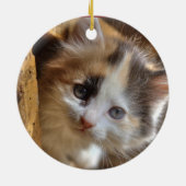 Heterochromia Calico Kitten Keramisch Ornament (Achterkant)
