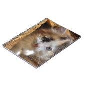 Heterochromia Calico Kitten Notitieboek (Linkerzijde)