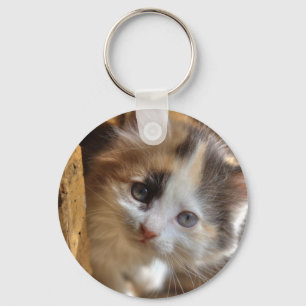 Heterochromia Calico Kitten Sleutelhanger