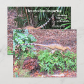 Heterodontosaurus - Dinosaur - Leerkaart Briefkaart (Voorkant / Achterkant)