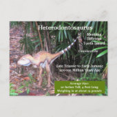 Heterodontosaurus - Dinosaur - Leerkaart Briefkaart (Achterkant)
