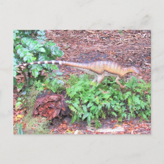 Heterodontosaurus - Dinosaur - Leerkaart Briefkaart (Voorkant)