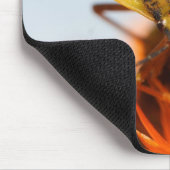 Heteroptera Muismat (Hoek)