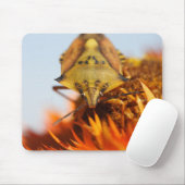 Heteroptera Muismat (Met muis)