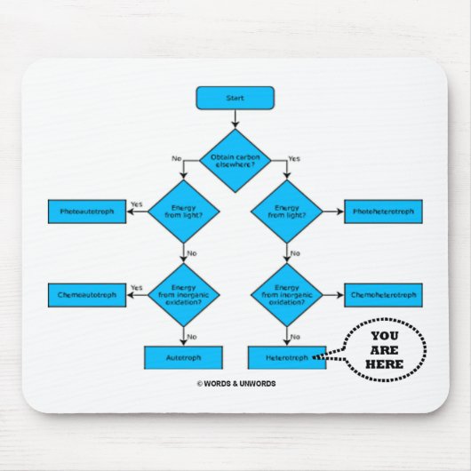 Heterotroph Flow Chart - U bent hier Muismat (Voorkant)