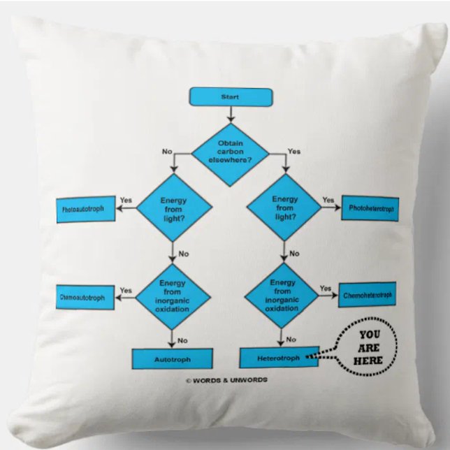 Heterotroph Flow Chart You are here Biology Humor Kussen (Showcase your wry ecological side with this throw pillow featuring Heterotroph w/ You Are Here)