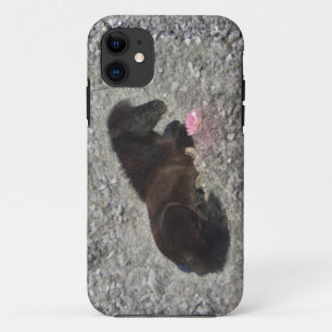 hety Shetland Pony Mini Horse Animal Pets iPhone 11 Hoesje