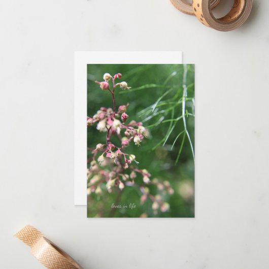 Heuchera Bloem Notitiekaartje (Voorkant / Achterkant in situ)