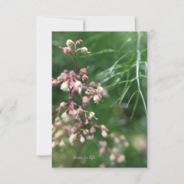 Heuchera Bloem Notitiekaartje