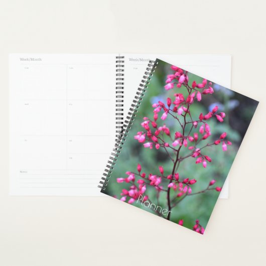 Heuchera Coral Bells Bloemig Planner (Display)