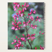 Heuchera Coral Bells Bloemig Planner (Achterkant)