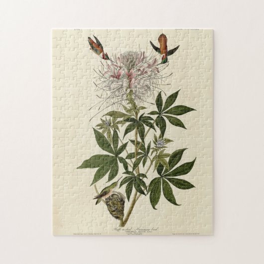 Heukhalsvogel, Audubon Birds of America Legpuzzel (Verticaal)
