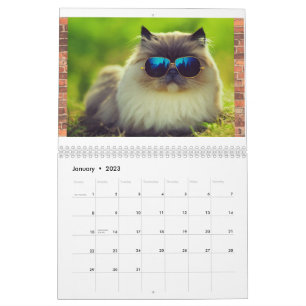 Heup Cool Cats 2023 Calendar, Wall Calendar Planne Kalender