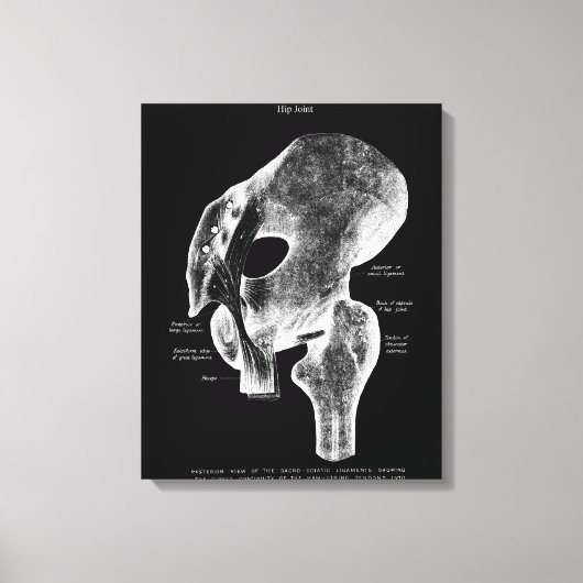 Heup Gewrichtsanatomie Medische Grote Canvaskunst Canvas Afdruk (Voorkant)