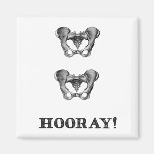 Heup Hoor Anatomie Bericht Magneet