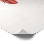 heupspieren Anatomie Poster (Hoek)