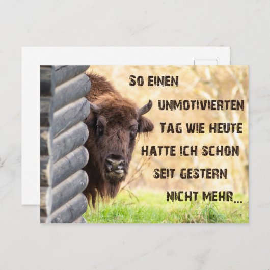 Heute bin ich tierisch onbeweeglijk! briefkaart (Voorkant / Achterkant)
