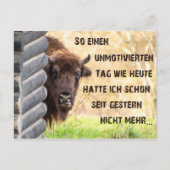 Heute bin ich tierisch onbeweeglijk! briefkaart (Voorkant)
