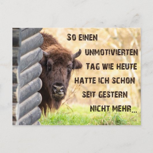 Heute bin ich tierisch onbeweeglijk! briefkaart (Voorkant)
