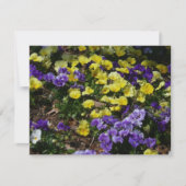 Heuvel met paarse en gele viooltjes (Voorkant)