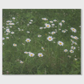 Heuvel van Madeliefjes Cadeaupapier (Vlak)