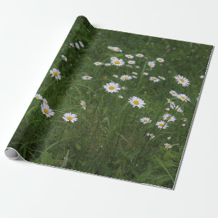 Heuvel van Madeliefjes Cadeaupapier