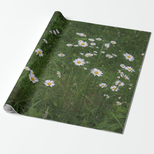 Heuvel van Madeliefjes Cadeaupapier (Uitgerold)