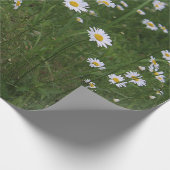 Heuvel van Madeliefjes Cadeaupapier (Hoek)