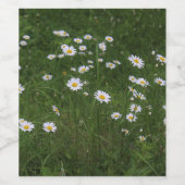 Heuvel van Madeliefjes Wijn Etiket (Enkel label)